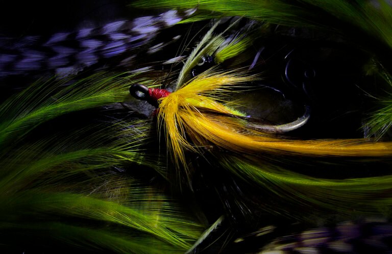 Davelightphotography: A Complete Guide to Its Style, Services, and Creative Vision