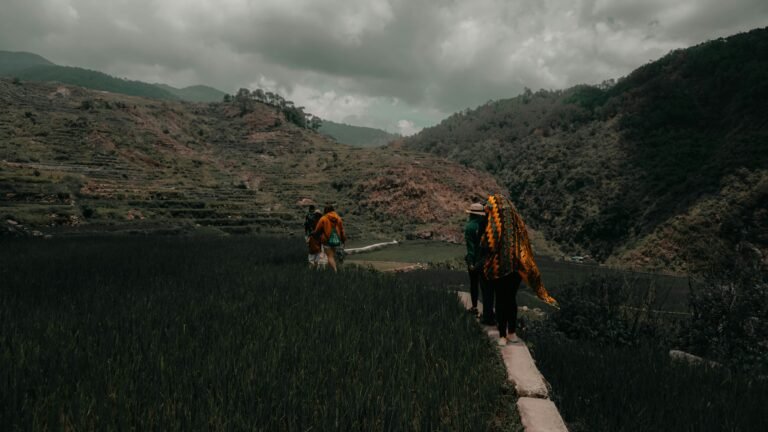 Exploring the Benefits of Tarnplanen for Adventure Seekers