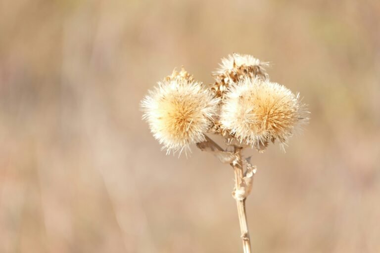 Why ‘Lake Texoma’ Should Always Be Capitalized