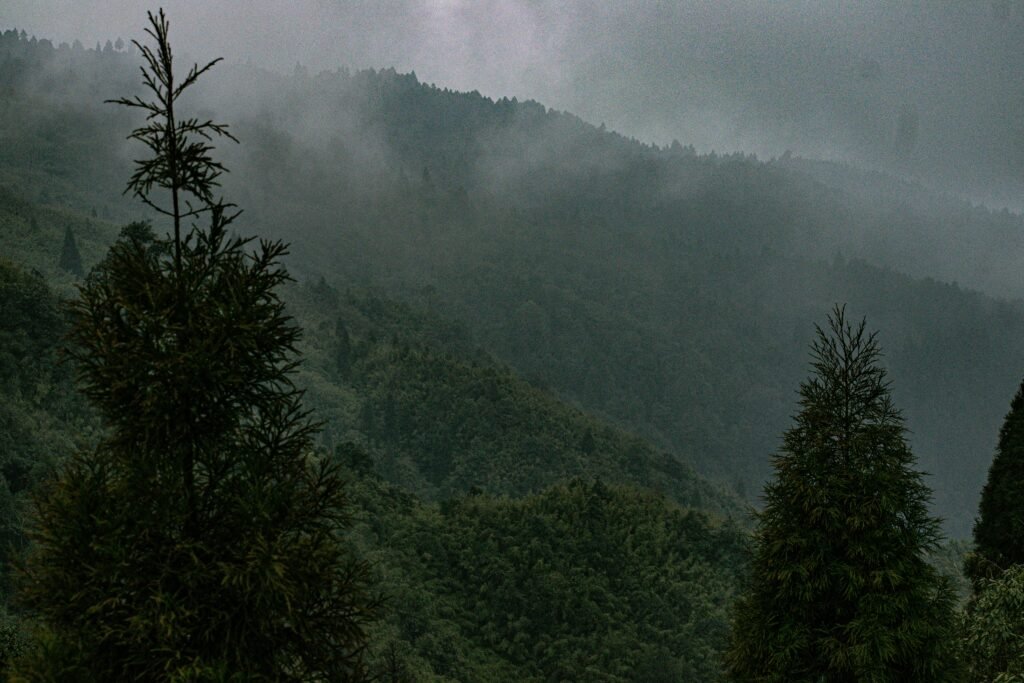 Exploring Haskawana: A Hidden Gem in Nature’s Embrace Haskawana