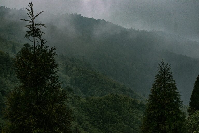 Exploring Haskawana: A Hidden Gem in Nature’s Embrace