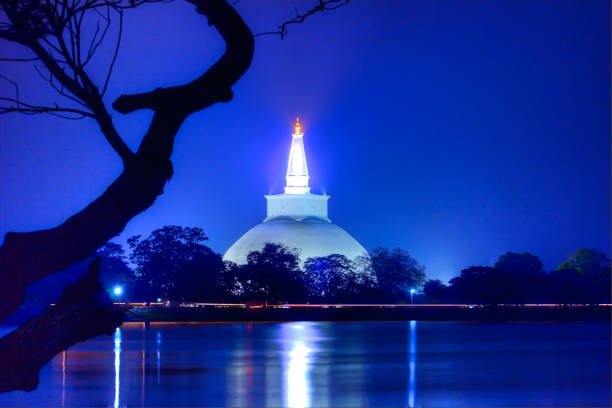 miyuru asela panapitiya