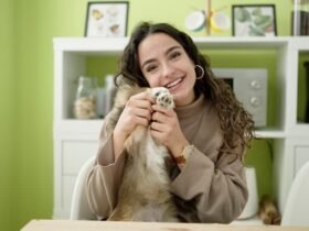 pet care advice