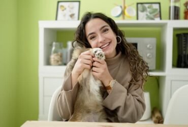 pet care advice