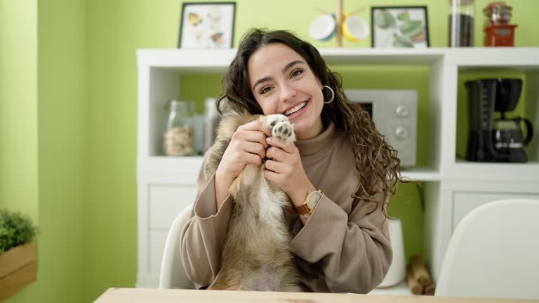 pet care advice