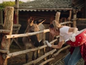 bonnie blue petting zoo​