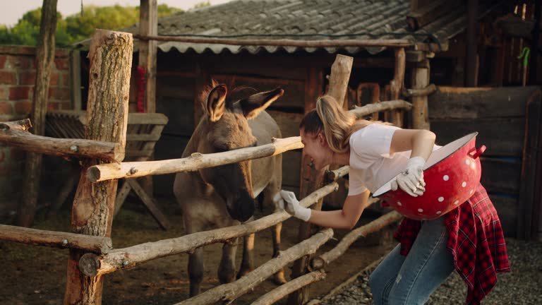 bonnie blue petting zoo