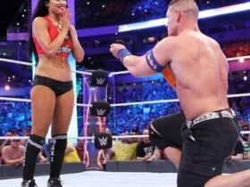 Elizabeth huberdeau nikki bella